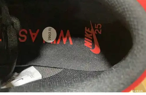 years 25th Dunk 309242-307 SB Nike Low 0628